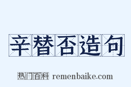 辛替否造句是什么意思的图片